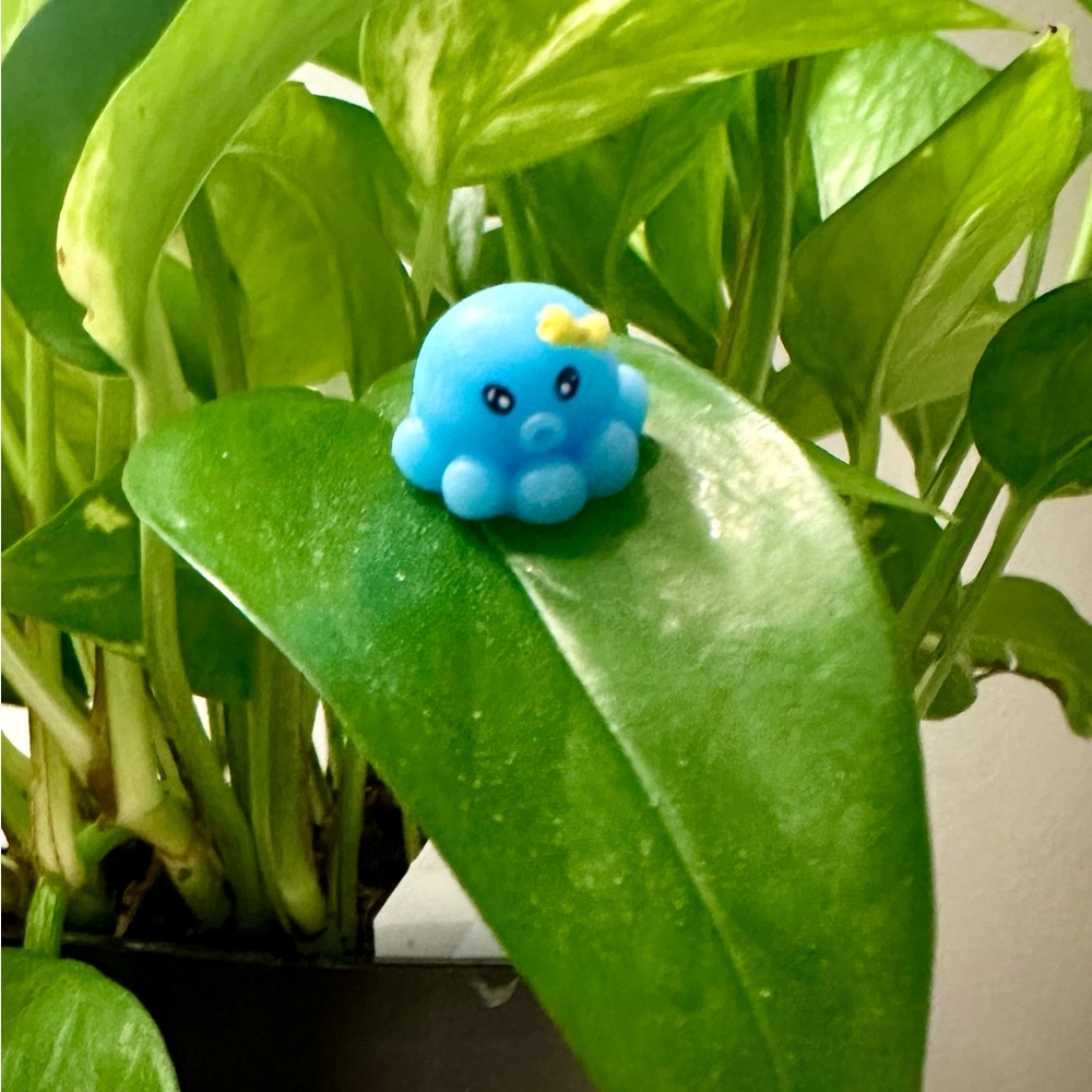 🍃10 pack PLANT MAGNETS!🍃